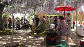 野点